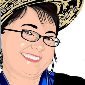 lisagetspolitik