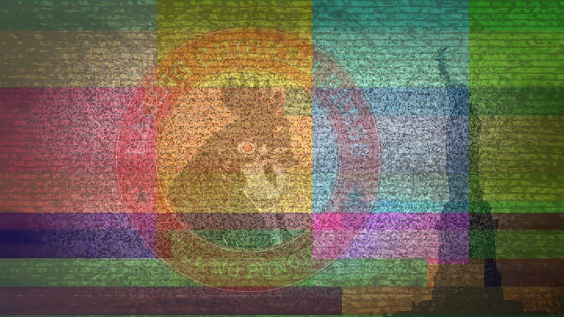 Header Image