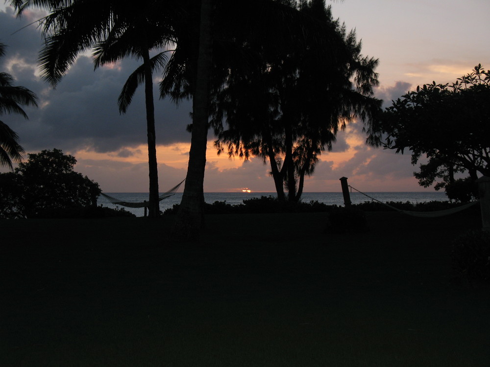 qhstone's profile header