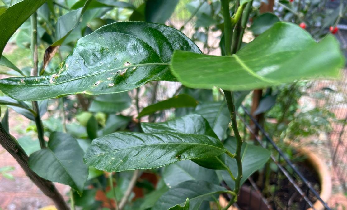 kcarruthers's profile header