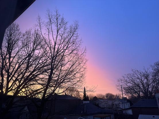 A yellow through pink to blue sunrise, looking almost like a sepia rainbow behind some trees.