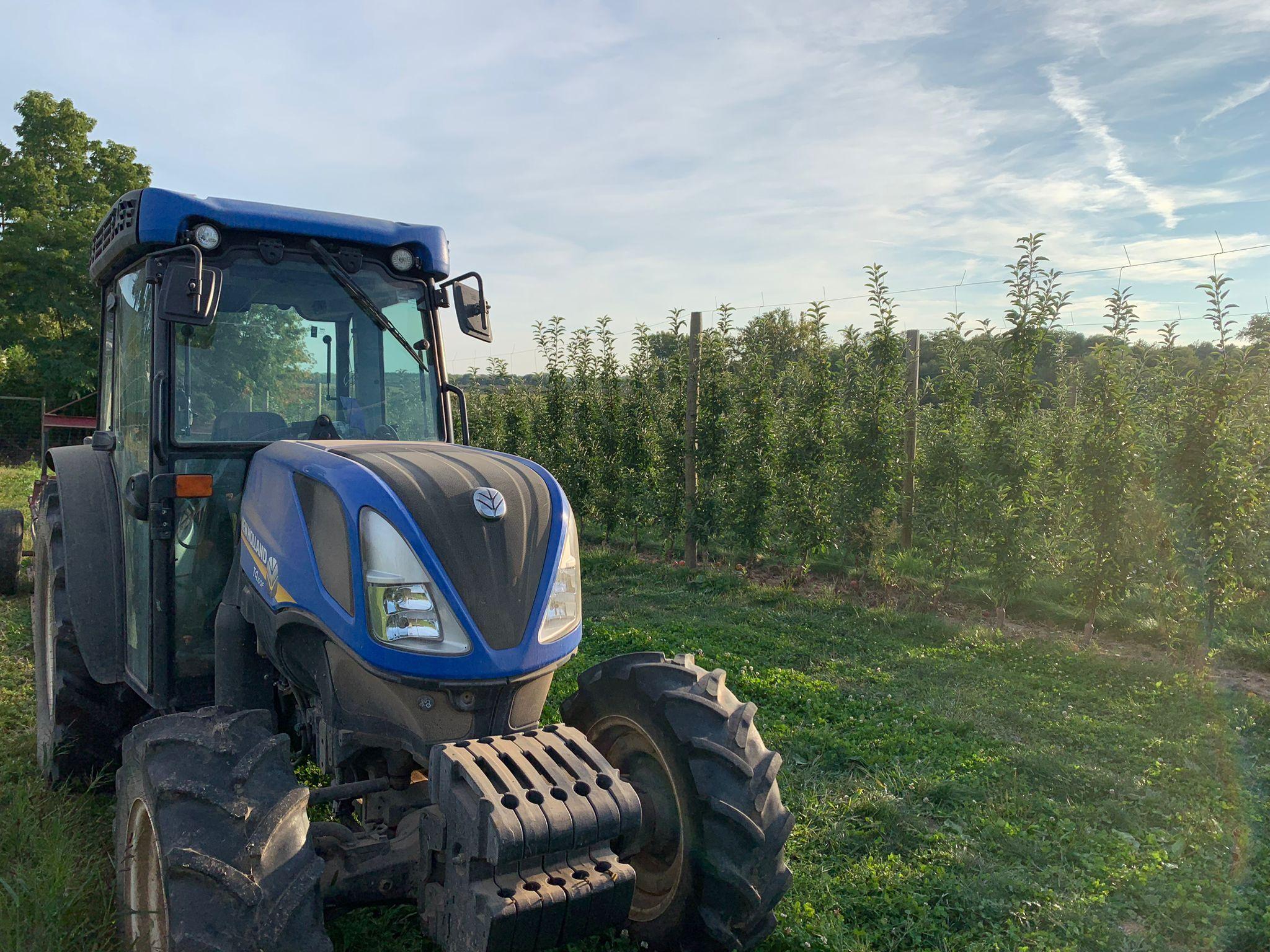 A tractor that is used for spraying the orchard at the side of a apple field